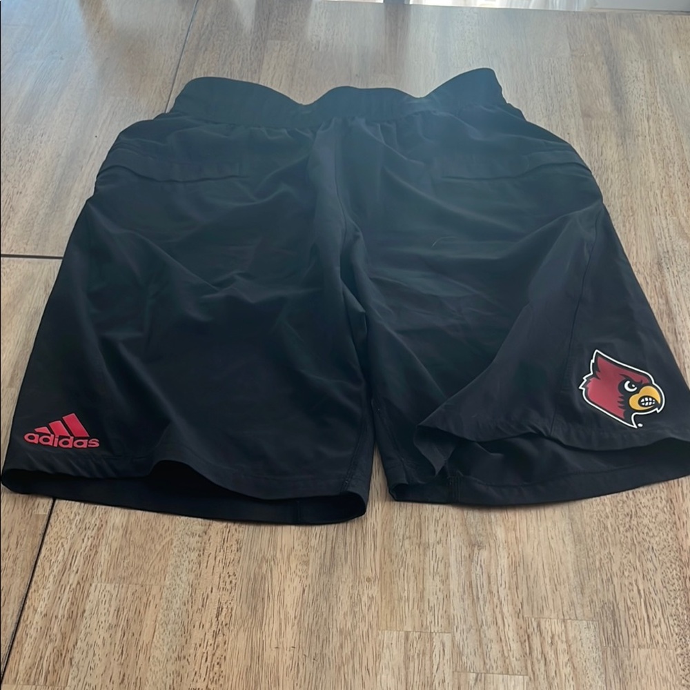 U of L Cheer shorts